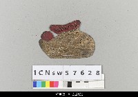 藏品(中國湖北皮影戲盔帽)的圖片